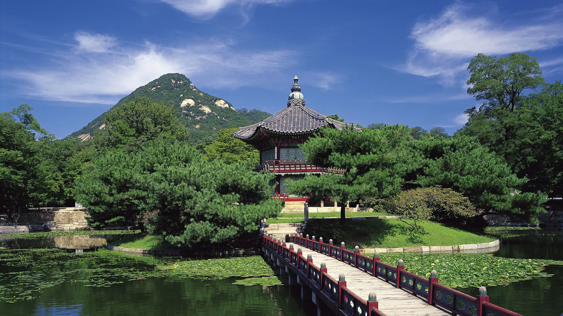 世界游泳俱乐部会员服务分层与增值产品设计指南，游泳俱乐部宗旨